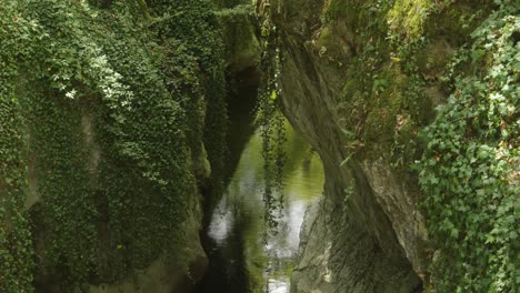 panoramica del flusso del fiume tra la montagna verde scogliera delle montagne alpine autunno