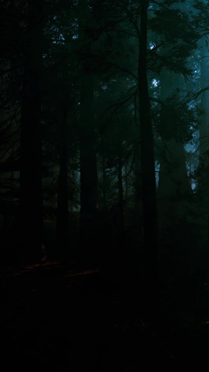 Le ombre danzano nella nebbia crepuscolare di una foresta misteriosa al tramonto.