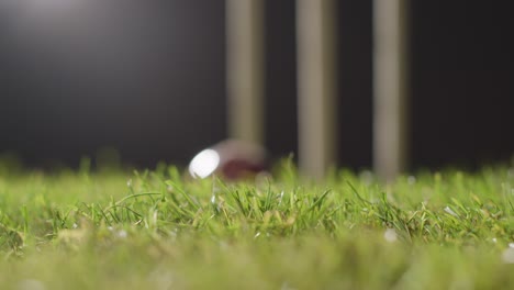 cricket still life with close up of ball hitting stumps bowling out batsman