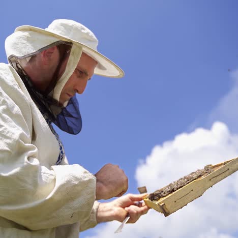 beekeeper against blue sky. male apiculturist in protective hat looking at the bees frame in bright summer day.