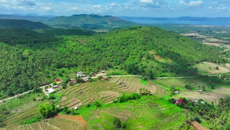 Aerial-view-of-biliran-island-with-coconut-Plantation-trees-during-sunny-day