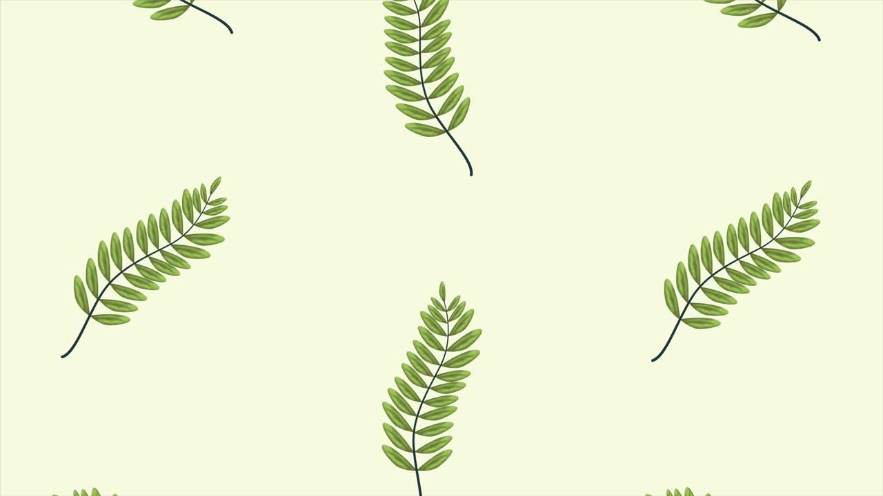 hojas exóticas tropicales ecología patrón de animación fondo