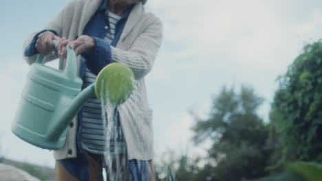 retired woman watering plants in vegetable garden