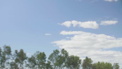 El-Cielo-Y-El-árbol-Están-Fuera-De-La-Ventana-De-Un-Auto