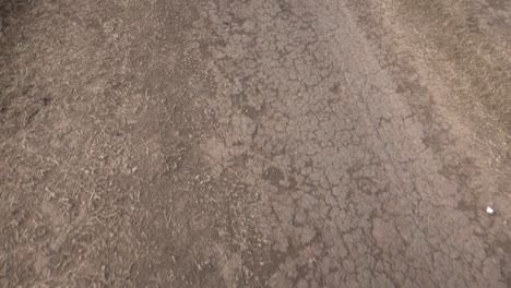 high-angle, handheld slow-motion close view of a a dirt road