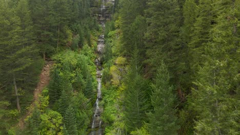 Forest-nature-landscape-and-water-falling-from-a-small-waterfall