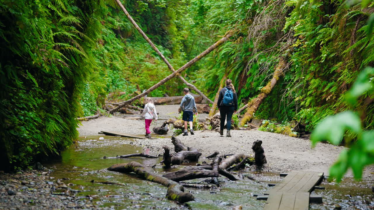 Walking together through the woods a family day in the forest