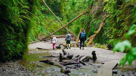 walking together through the woods a family day in the forest