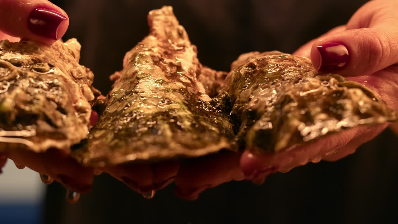 Ostriche fresche in esposizione