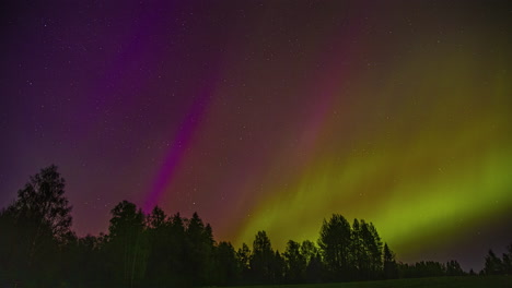 Zeitraffer-Der-Aurora-Borealis-Vor-Alpinen-Baumsilhouetten-Bei-Nacht