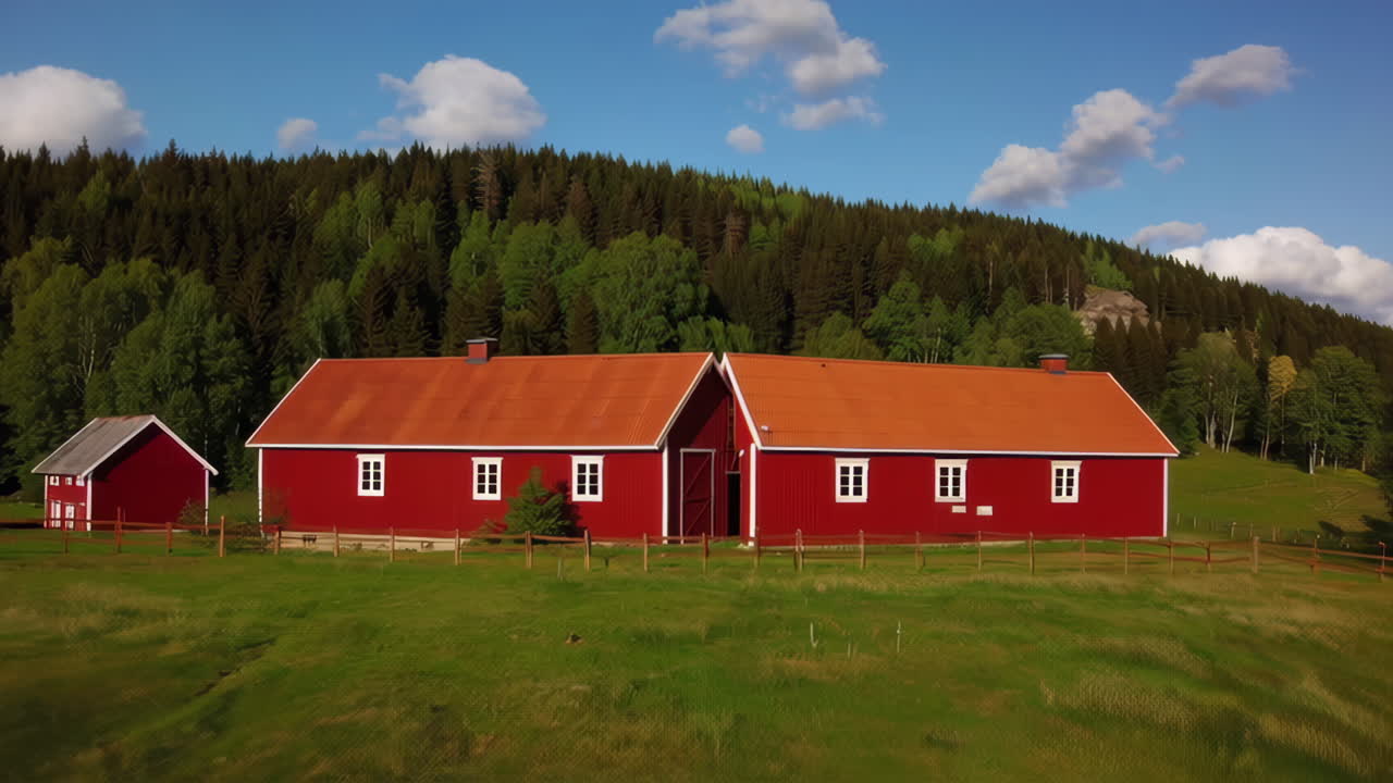 Røde lader og får i et landligt landskab