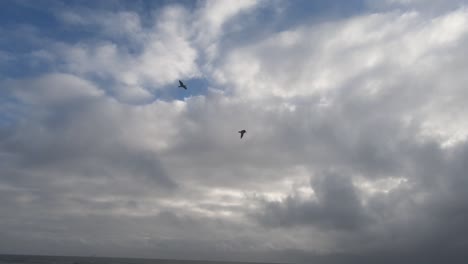 waterfall onto the beach with birds flying by