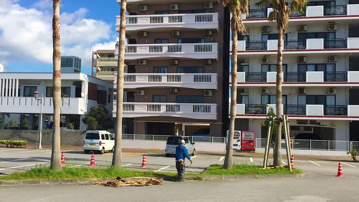 Giardiniere taglia l'erba sotto le palme