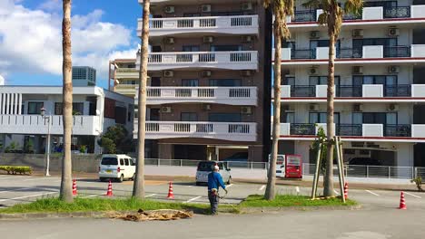 Hombre-Jardinero-Recorta-La-Hierba-Debajo-De-Las-Palmeras