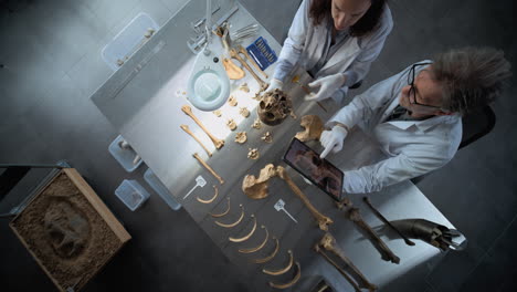 forensic scientists examining human remains in a laboratory