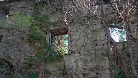 overgrown ruins, abandoned ancient building covered by green foliage in france