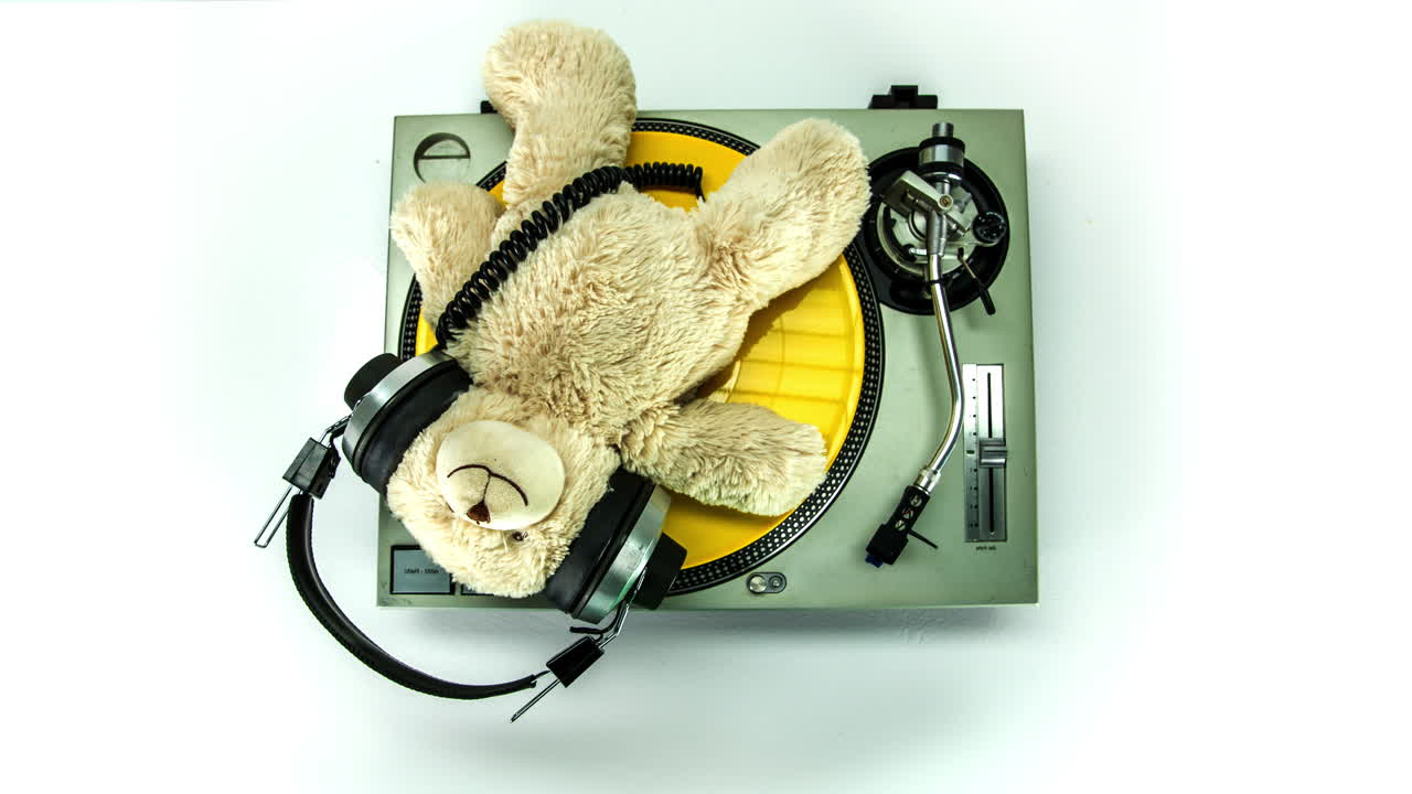 el dj del oso de peluche