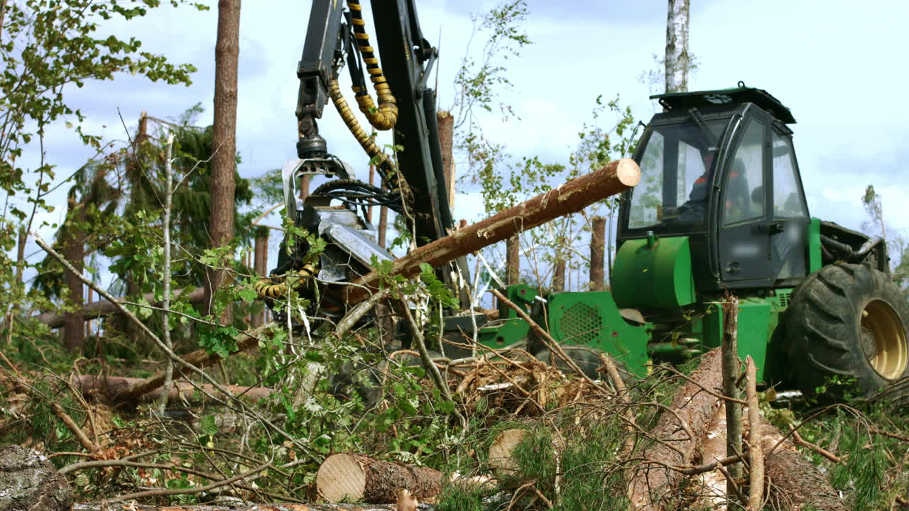trabajador en cabina que conduce una cosechadora durante la tala de bosques.