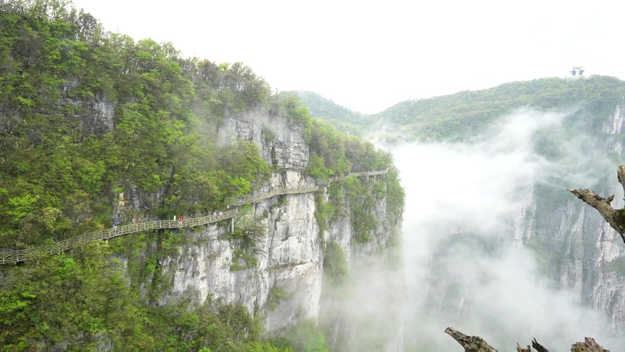 Persone che fanno escursioni lungo un sentiero pericoloso su una ripida parete rocciosa a Zhangjiajie, provincia di Hunan.