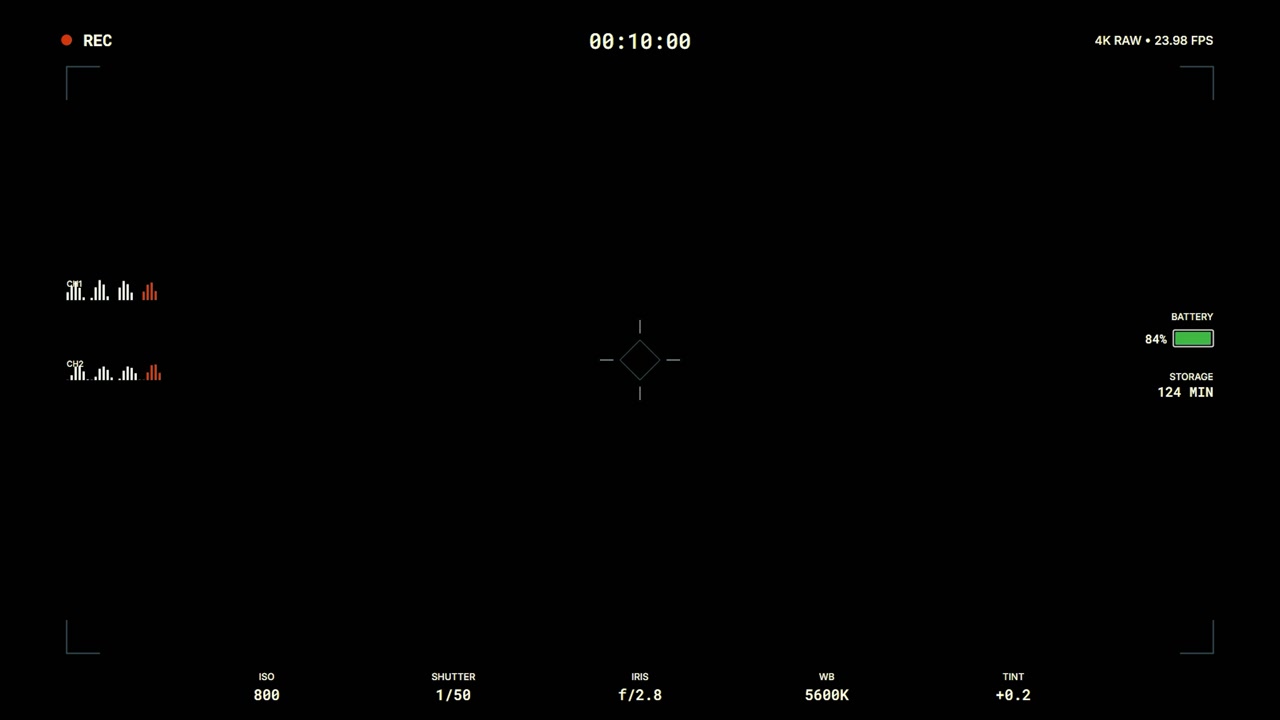 Digital Camera Viewfinder Interface Overlay
