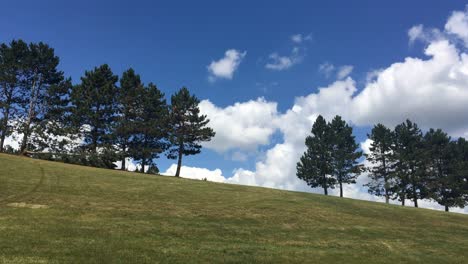 on the empty golf course