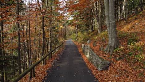 autumn road in mountain forest, yellow and red foliage trees aerial view