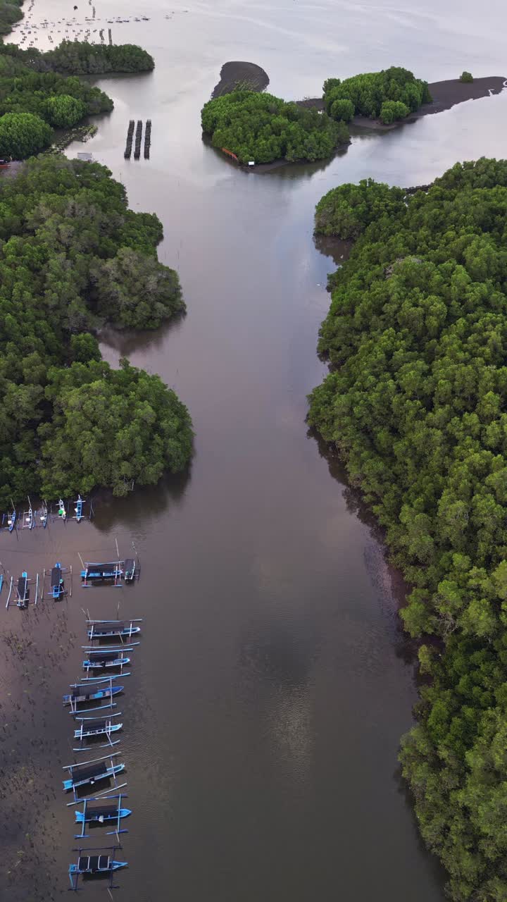 Aerial vertical video of lush Bali mangrove forest with winding waterways and small fishing boats resting peacefully among the green tropical landscape