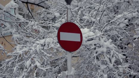 center static shot of a red do not enter or forbidden traffic sign with a background of snow-covered tree sprigs