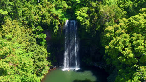 Exuberante-Vegetación-Que-Rodea-La-Cascada-A-Pie-En-Australia---Avance-Aéreo