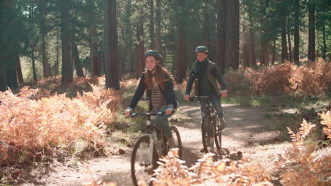 four friends cycling past in a forest, backlit