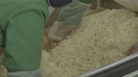 rice factory workers processing raw uncooked rice at the factory.
