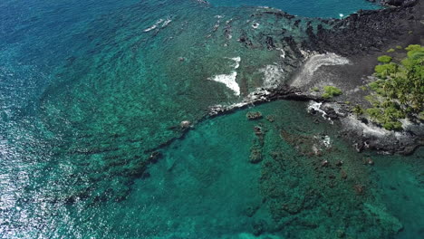 crystal clear and blue water off palm tree lined black sand beach on big island hawaii panning over rocks and reef