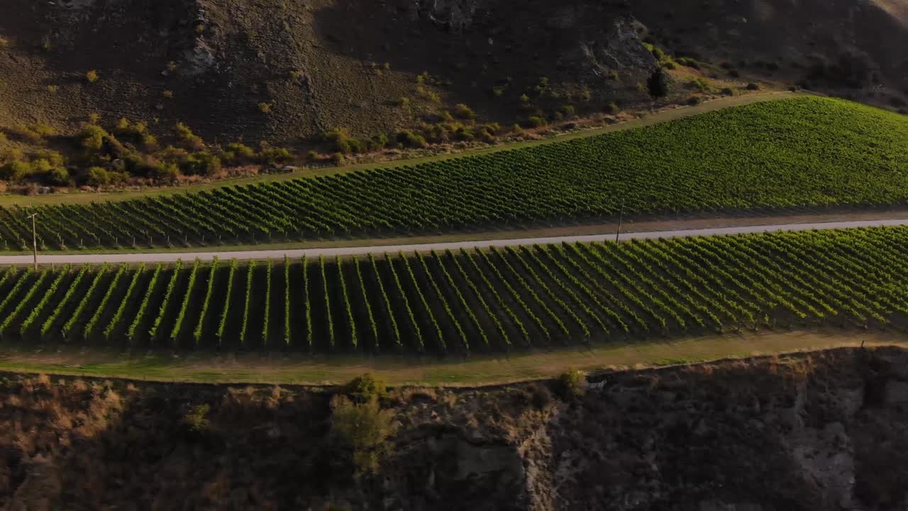 viñedo situado en un acantilado rocoso