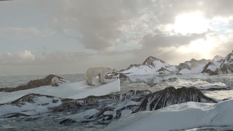 polar bears on ice floe in the arctic