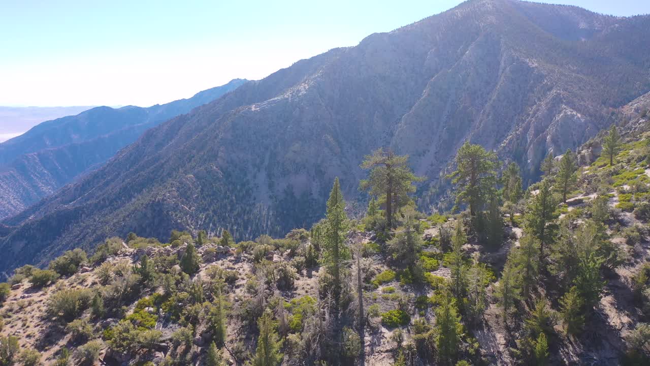 고독한 소나무 근처 동부 시에라 산맥의 산등성이를 따라 피니언 소나무와 캘리포니아 오웬스 계곡