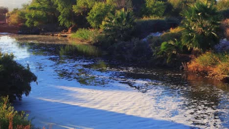 Vista-Ondulante-Del-Río-En-El-Parque-De-Humedales-Del-Condado-De-Clark-En-Los-Suburbios-De-Las-Vegas