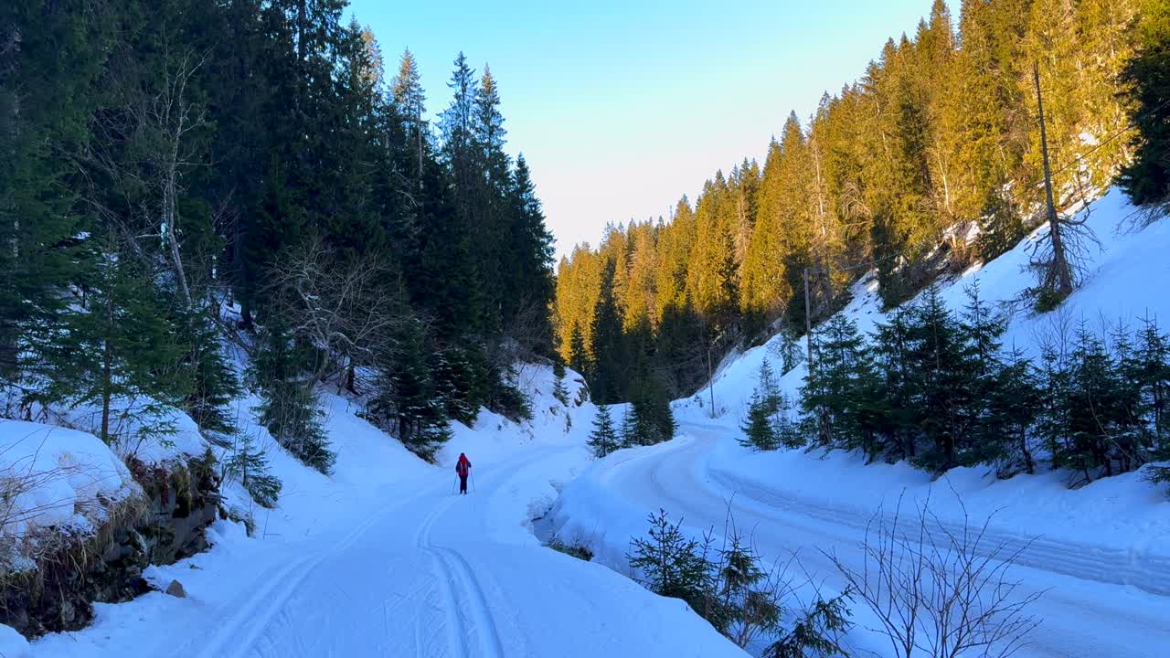 Cross Country skiing trail path skiers gliding skating Holmenkollen Toppsesteret Skimore Oslo Norway Norge Frognerseteren late afternoon arctic golden hour sunset river creek shaded area static shot
