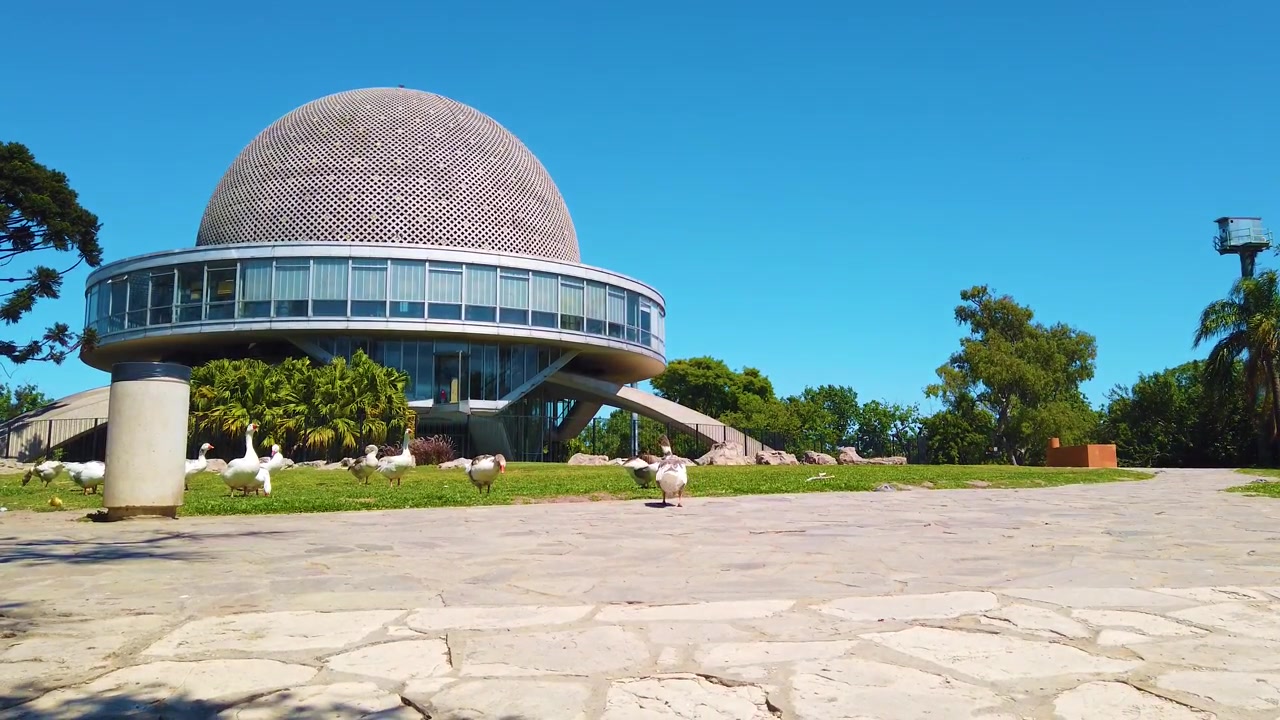 Gæs samles ved rumobservatorieparkbygningen i Buenos Aires' bylandskab, Galileo Galilei Planetarium i Argentina