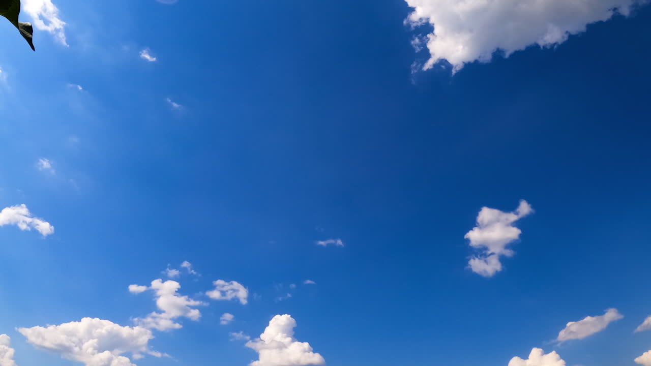 Small fluffy white clouds are blow by the wind. Amazing summer sky from low angle view. Timelapse