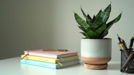 a tranquil workspace featuring colorful notebooks and a lush potted plant, creating an inspiring atmosphere for focused productivity and creativity