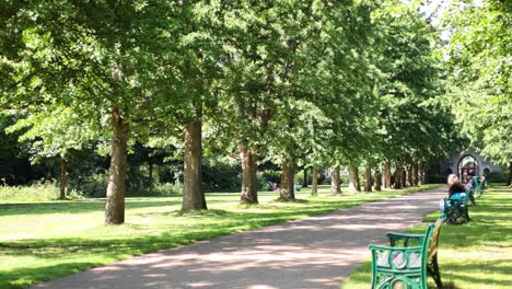 cyclist riding through scenic bute park