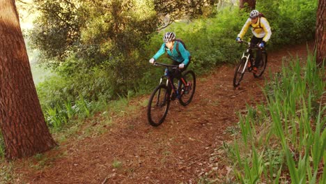 mountain biking couple riding in the forest on a sunny day