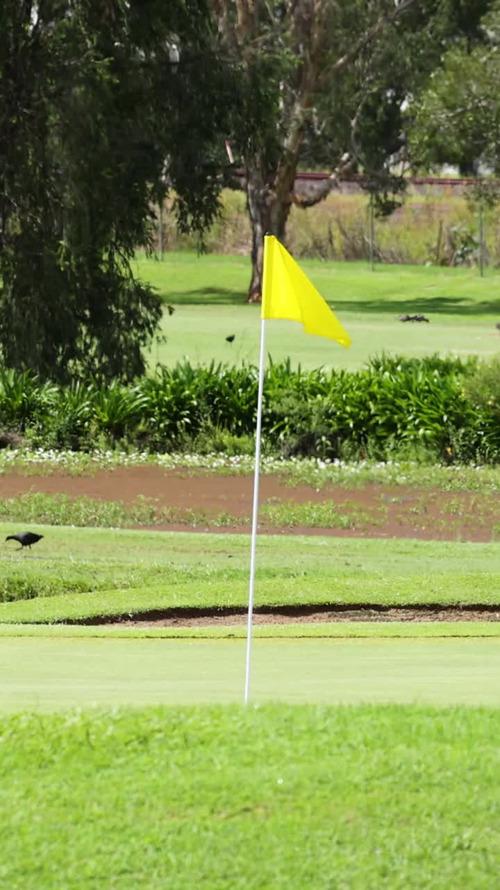 바람에 따라 움직이는 골프 코스의 발