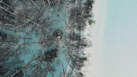 aerial, top down, drone shot, over a road, between forest and on the river shore, on a sunny, winter evening, in utra, joensuu, north karelia, finland