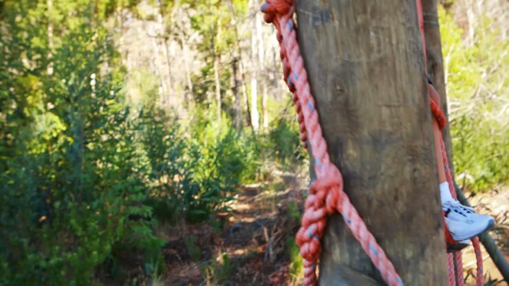 Ragazzo determinato che si arrampica su una rete durante il percorso a ostacoli.