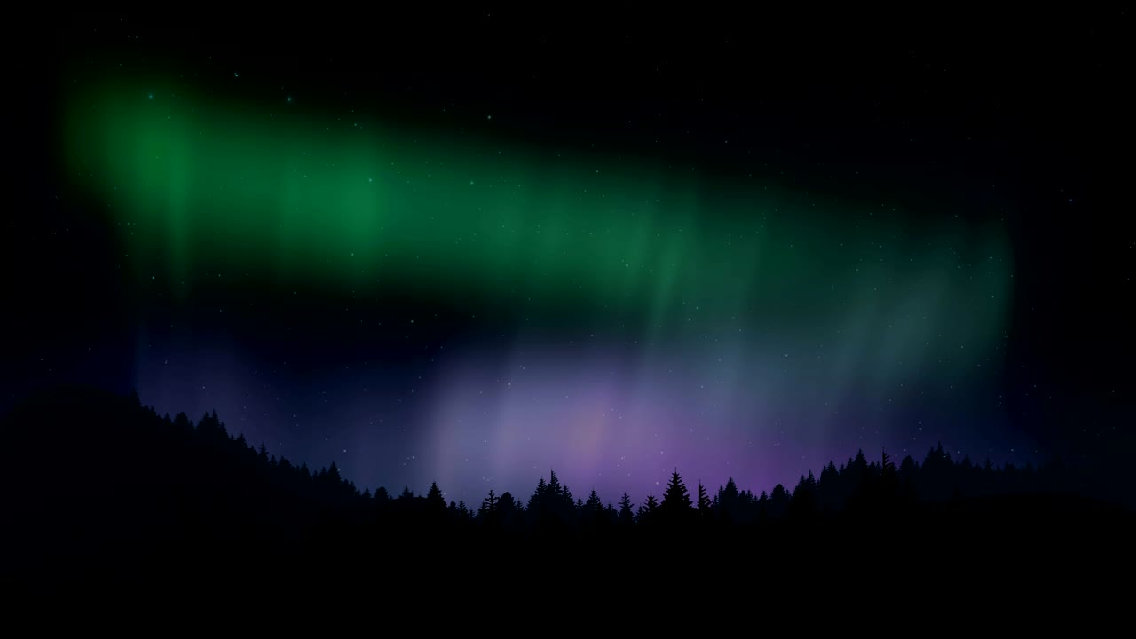 Arctic bright northern light over forest landscape.