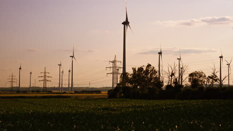 plenty of windmills near the electric power lines in the fields. low angle view at the windfarm at sunset time.