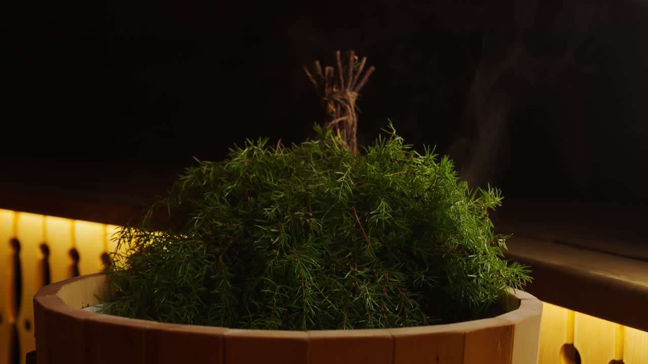 Traditional Sauna with Juniper Branches