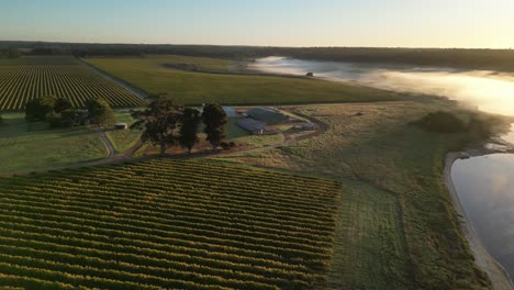 Toma-Orbital-Del-Campo-Agrícola-Al-Amanecer-Brumoso-En-El-Río-Margaret,-Australia-Occidental