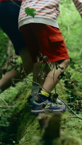 niño caminando en el bosque